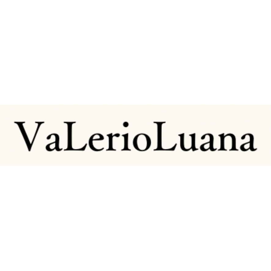 定食付きオーダーメイド パーソナルトレーニングジムVaLerio Luanaのロゴ